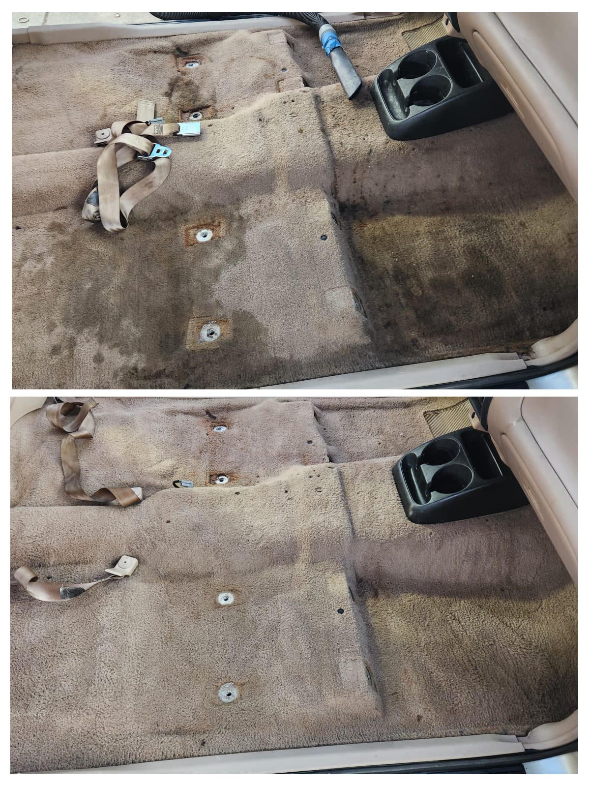 Rear bench seat shampoo