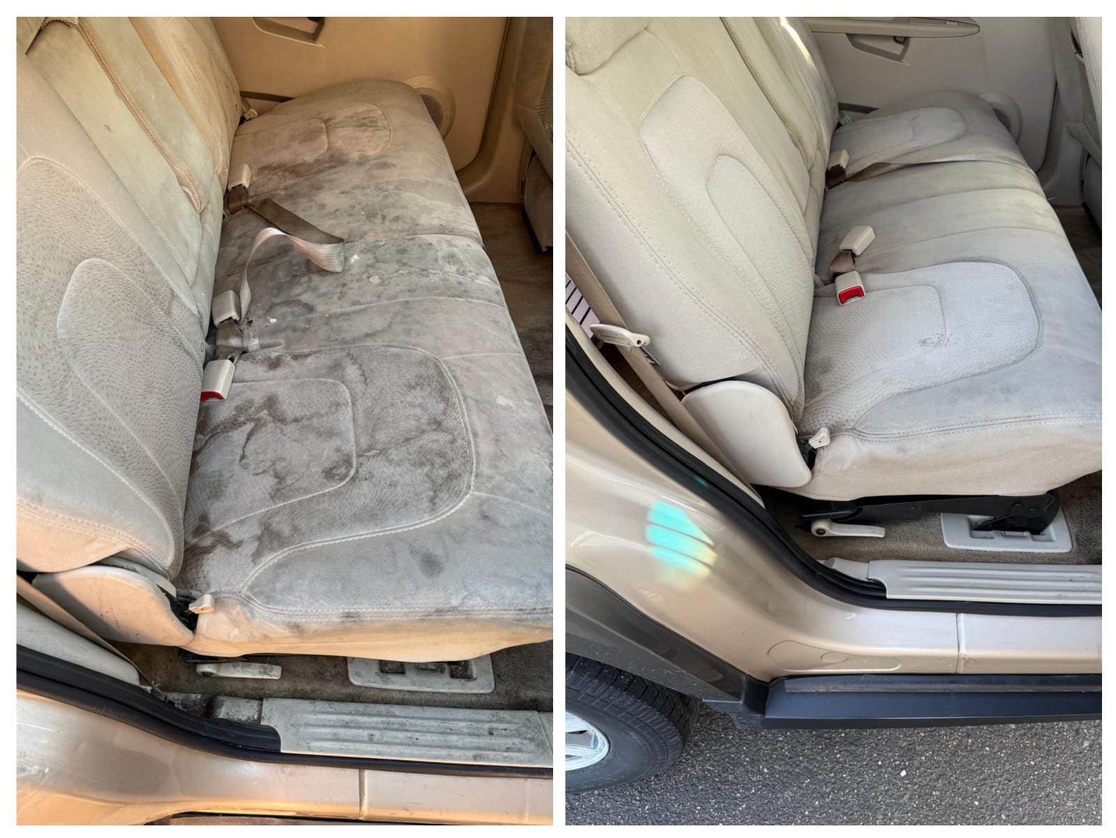 Seat and carpet shampoo